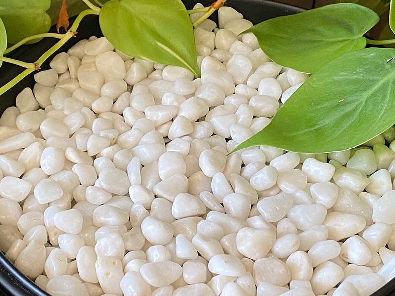 Leafy Tales White Polished Marble Stone Pebbles for Home & Garden Decoration|Plants & Pots|Art & Craft|Aquarium Vase Filler | White Polish 500 GMS - Image 1
