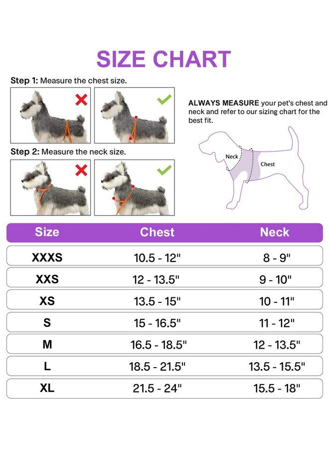 Joytale Small Dog Harness, Breathable Mesh Step-in Vest Harness, Reflective Soft Padded Harnesses Small Sized Dog for Walking, Purple, S - Image 3