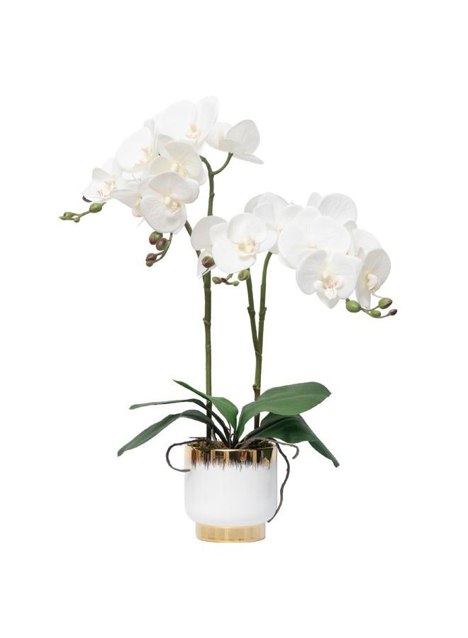 CXGS Orchids Artificial Flowers Real Touch Fake Flowers in Ceramic Pot 20" White Faux Orchid Plant Lifelike Silk Phalaenopsis for Centerpiece Hotel Home Indoor Decor - Image 1