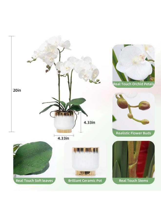 CXGS Orchids Artificial Flowers Real Touch Fake Flowers in Ceramic Pot 20" White Faux Orchid Plant Lifelike Silk Phalaenopsis for Centerpiece Hotel Home Indoor Decor - Image 2
