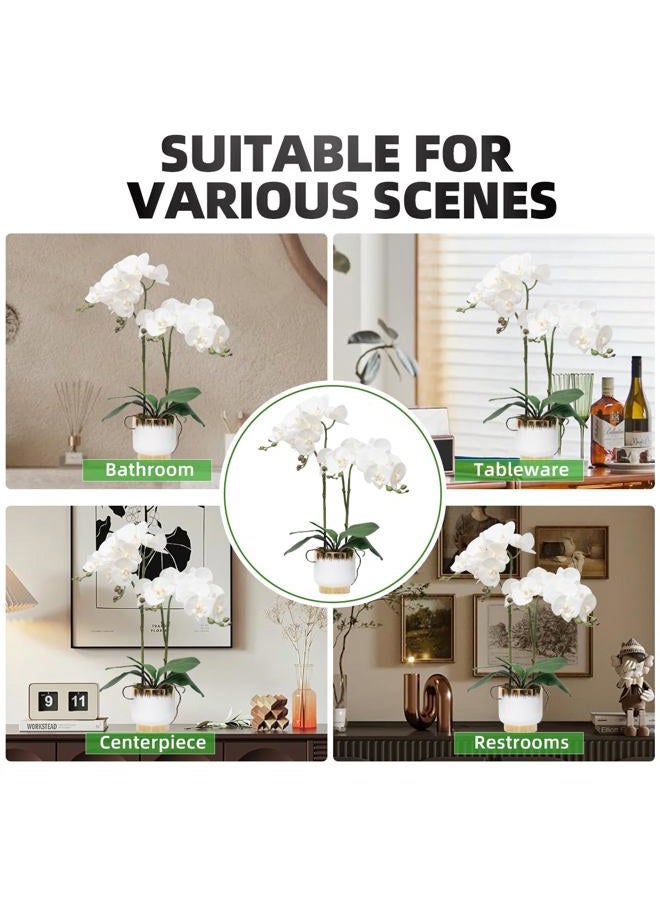CXGS Orchids Artificial Flowers Real Touch Fake Flowers in Ceramic Pot 20" White Faux Orchid Plant Lifelike Silk Phalaenopsis for Centerpiece Hotel Home Indoor Decor - Image 5