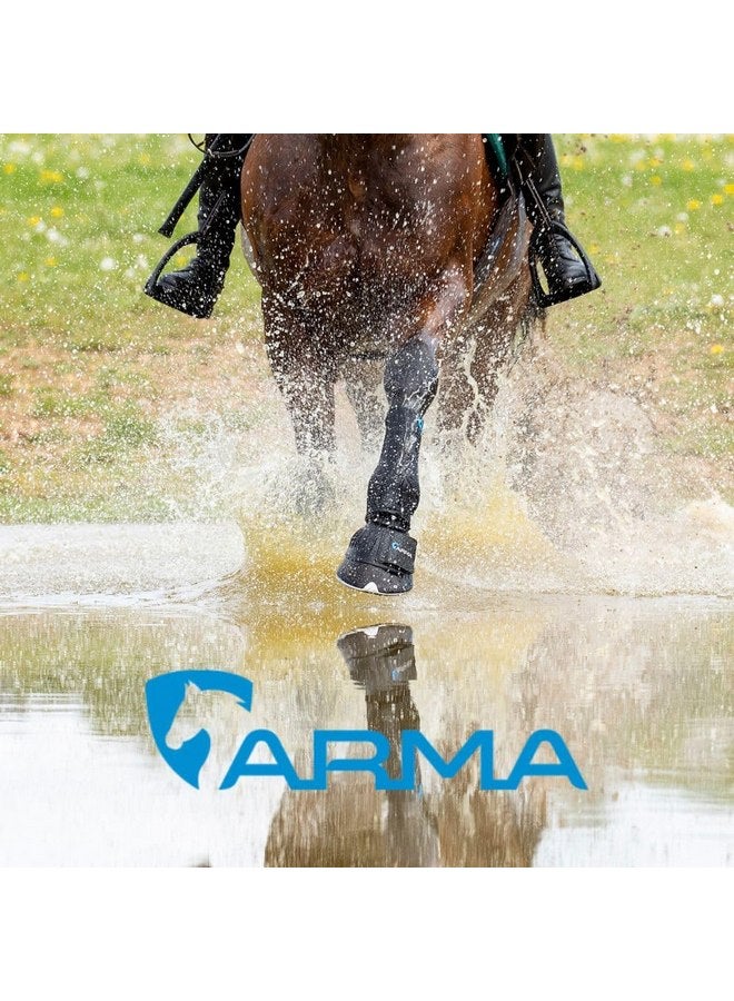 شيريس حذاء رياضي من نوع شيرز إكويستريان للخيول من أرما أوفر ريتش بيل - Image 2