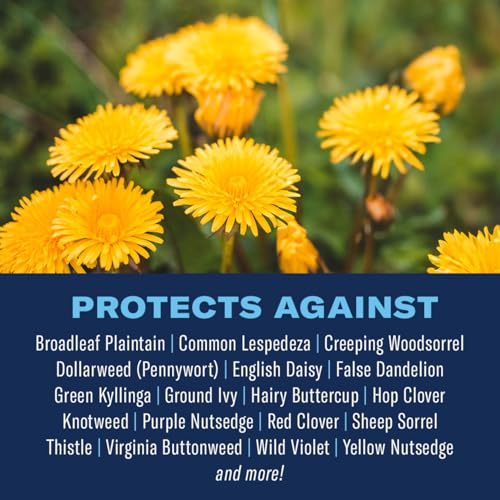 BioAdvanced 3-in-1 Weed and Feed for Southern Lawns, Granules, 10 lb, Outdoor Weed Killer, Lawn Fertilizer - Image 2