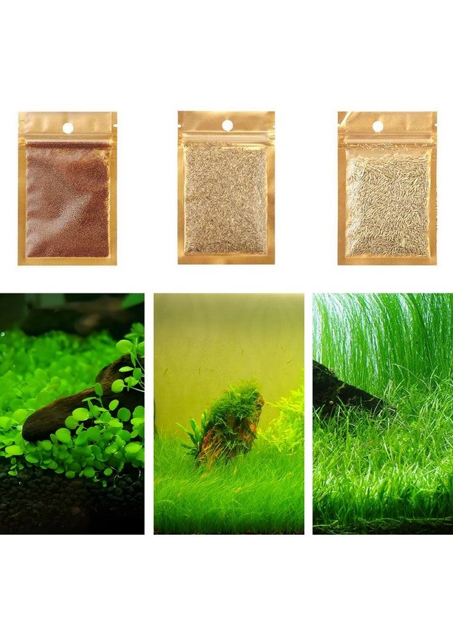 Generic 3 Pack Aquarium Plant S.e.e.d Set, not Artificial plasticl Plant. Real Grass Tank Decor Replacement for Resin or Plastic Grass  - Image 1