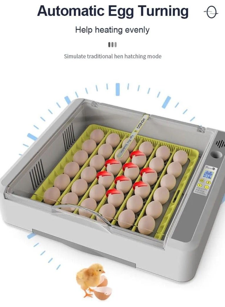 Neo Classic 36 Egg Automatic Egg Incubator Temperature Control Egg Hatcher - Image 4