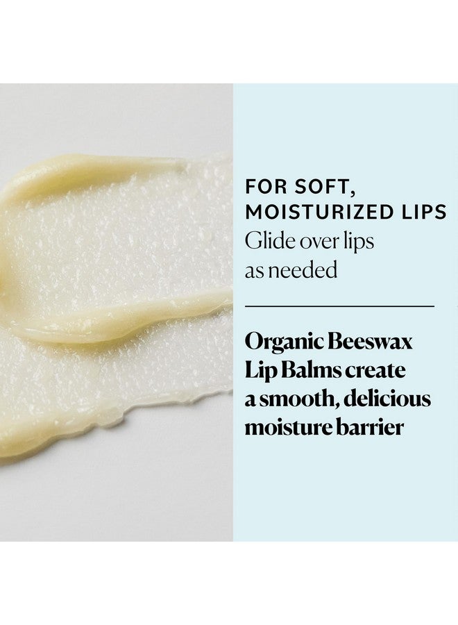 سكاي أورغانكس سكاي أورجانيكس - مجموعة مرطب شفاه عضوي (عبوة من 6 قطع) - شمع عسل عضوي، زيوت نباتية ومستخلصات - فيتامين هـ ونكهات طبيعية عضوية - مجموعة هدايا تجميل - جميع أنواع البشرة وخالية من القسوة - العناية بالشفاه والعناية الذاتية - Image 3