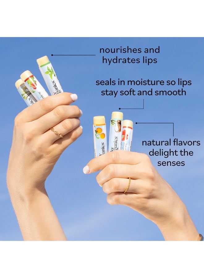 سكاي أورغانكس سكاي أورجانيكس - مجموعة مرطب شفاه عضوي (عبوة من 6 قطع) - شمع عسل عضوي، زيوت نباتية ومستخلصات - فيتامين هـ ونكهات طبيعية عضوية - مجموعة هدايا تجميل - جميع أنواع البشرة وخالية من القسوة - العناية بالشفاه والعناية الذاتية - Image 4