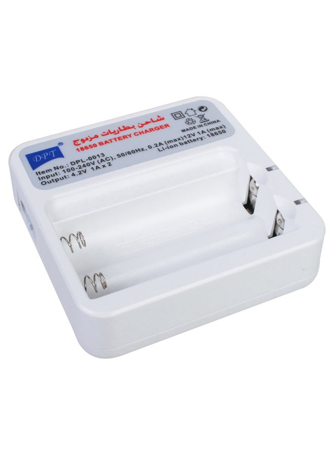 دي بي تي شاحن بطارية ليثيوم ايون، شاحن بطارية كشاف، ملون، قدرة 2 امبير - Image 2