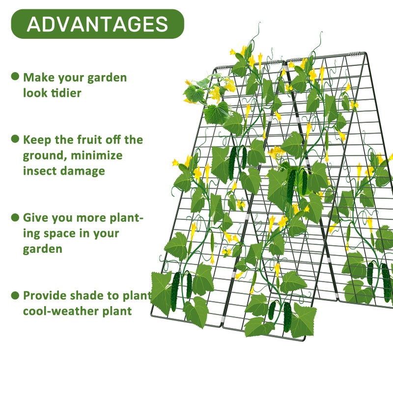 AGTEK 34" x 48" Foldable Cucumber Trellis with Garden Stakes and Zip Ties Plant Support A Frame Metal Trellis for Climbing Plants, Cucumber, Vegetable, Flowers - Image 3