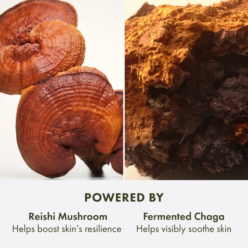 Origins Mega-Mushroom Soothing Cream | Visibly Soothes Skin | With Reishi Mushroom, 1.7 Fl Oz - Image 5