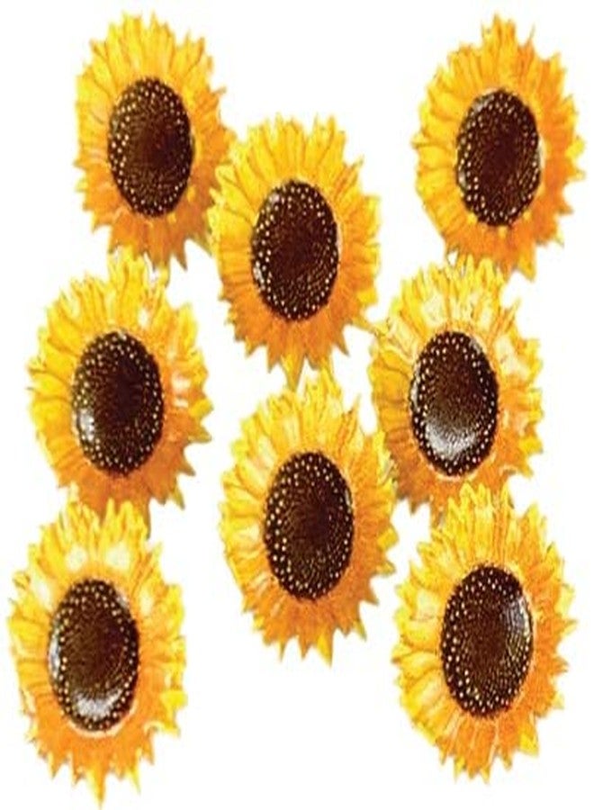 Eyelet Outlet Shape Brads 12/Pkg-Sunflower - Image 3