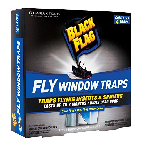 Black Flag Fly Window Trap, 1-Count - Image 1