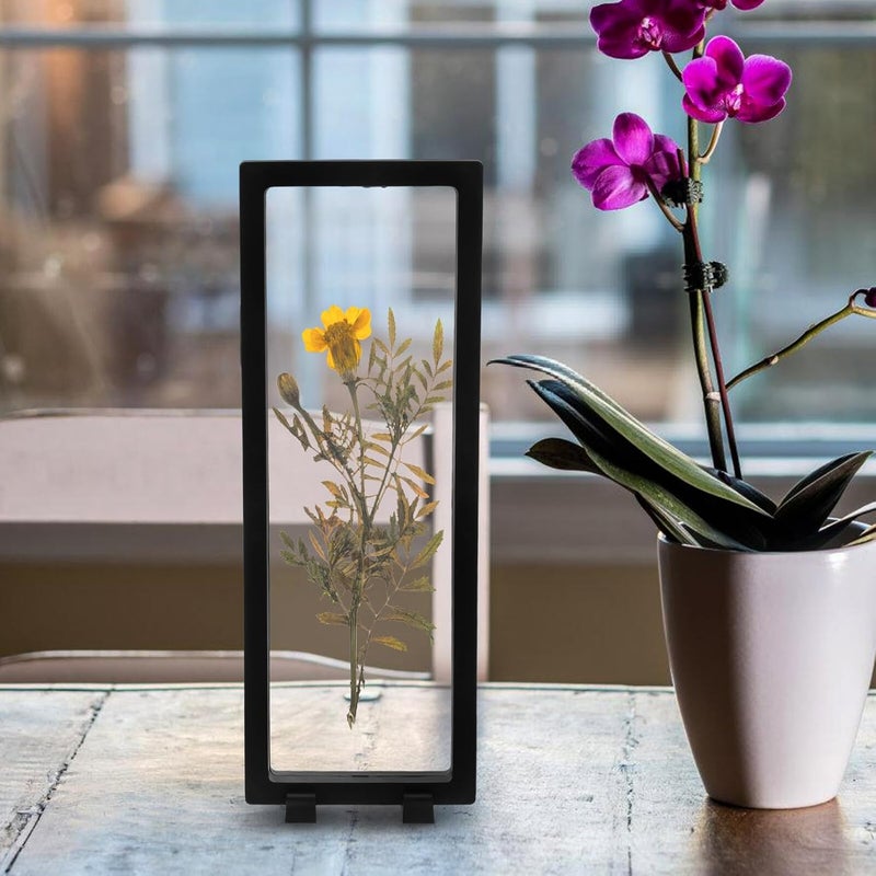 DOITOOL Shadow Box Display Frame 30x11 Inch Black Specimen Holder for Insects Butterflies and Plants, Glass Frame for Home Decor and Collector Display - Image 4