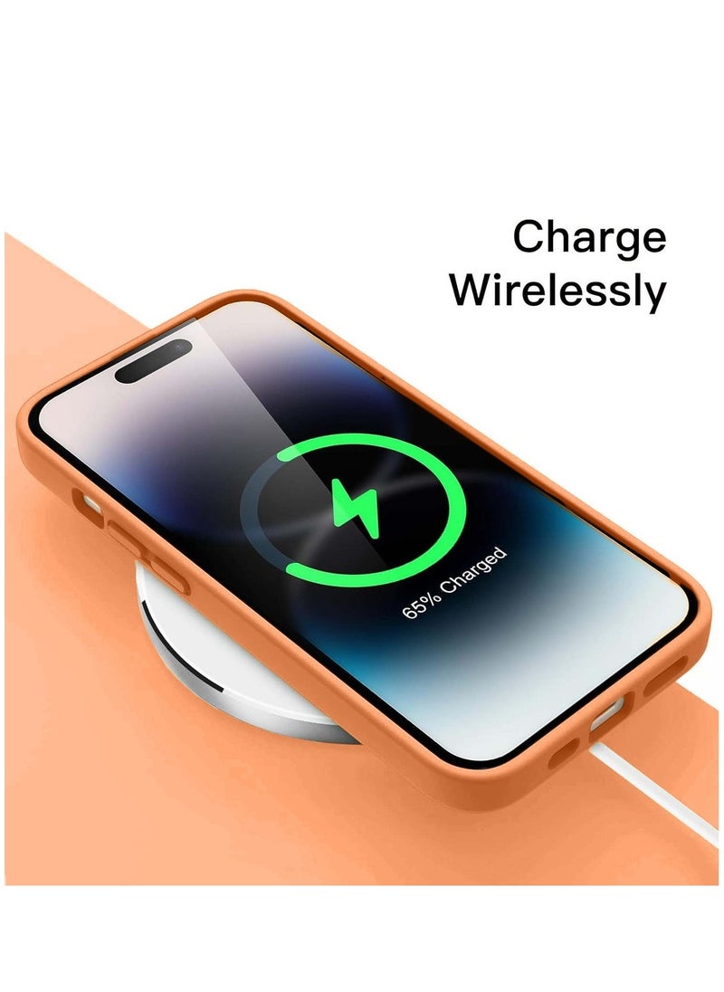 Soft Smooth Silicone Back Cover Case with Built-in Magnetic, inner side Microfiber Lining for Apple iPhone 15 Pro Max  – Orange