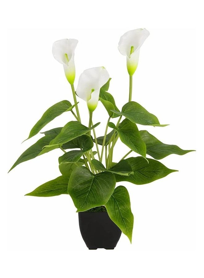 NIBEMINENT Artificial Lily Flower Potted Plant White/Green  - Image 1