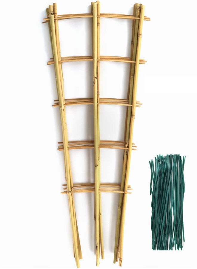 SWANGSA 6 Pack Bamboo Trellis 24 Inches for Climbing Plants, Fan-Shaped Bamboo Plant Trellis Cucumber Tomato Trellis with 50pcs Twist Ties for Outdoor and Indoor Potted Plants - Image 1