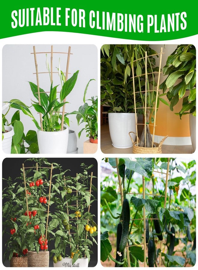 SWANGSA 6 Pack Bamboo Trellis 24 Inches for Climbing Plants, Fan-Shaped Bamboo Plant Trellis Cucumber Tomato Trellis with 50pcs Twist Ties for Outdoor and Indoor Potted Plants - Image 4