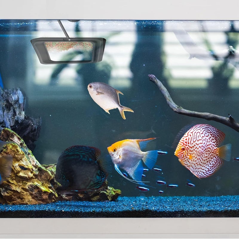 SWIUKPHE 2 Pieces Fish Feeding Ring, Feeder Aquarium Turtle Tank Accessories Food Circle with Suction Cup for Guppy, Bettas, Goldfish, (Round and Square, Black) - Image 5