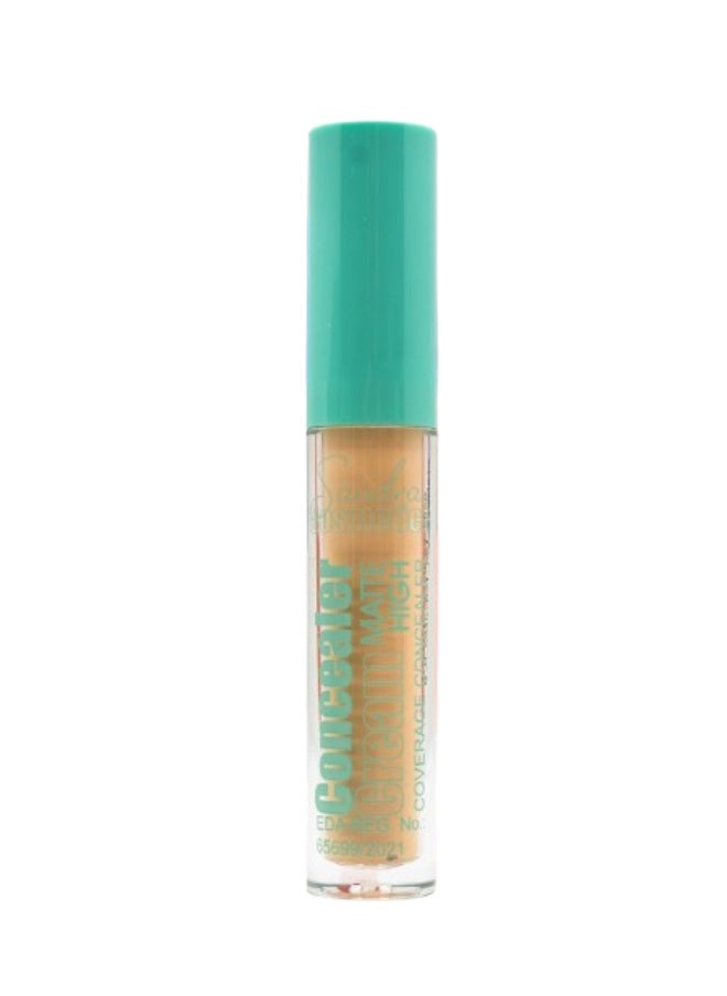 Sandra High Coverage Concealer Cream - 04  - Image 4