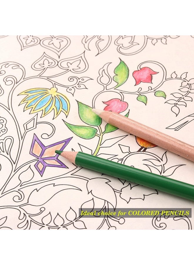 KALOUR Colorless Blender And Burnisher Pencils Setnonpigmented Wax Based Pencilperfect For Blending Softening Edgesideal For Colored Pencilsart Supplies For Artists Beginners(6 Pencils Total) - Image 5