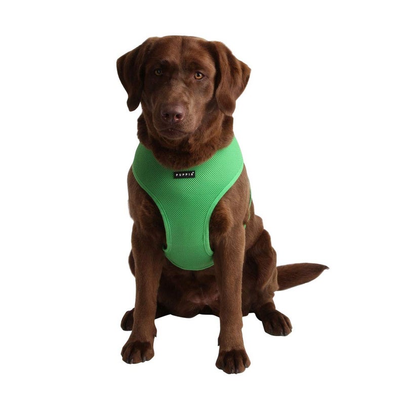 Puppia Soft Dog Harness No Choke Over-The-Head Triple Layered Breathable Mesh Adjustable Chest Belt and Quick-Release Buckle, Green, Medium - Image 3