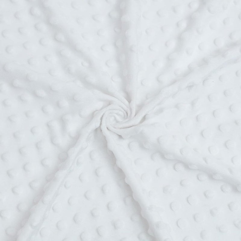 Buerhanerry Loyoot Gone Fishing Baby Blanket for Boys Toddler Soft Minky Blanket with Double Layer Dotted Backing Newborn Nursery Baby Crib Receiving Fishing Boat Newborn 30x40 - Image 5
