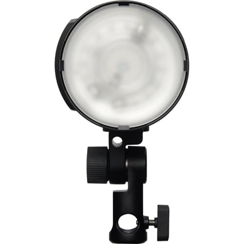 Profoto B10X Off-Camera Flash and Continuous Light - Image 2