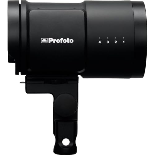 Profoto B10X Off-Camera Flash and Continuous Light - Image 4
