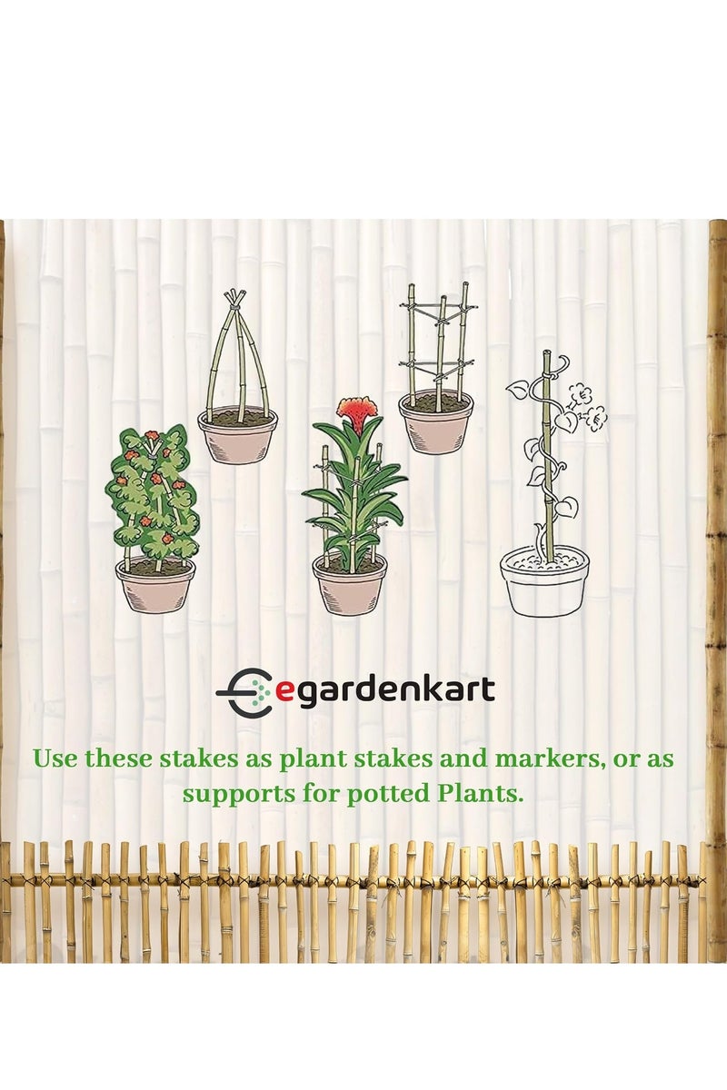 Egardenkart Egardenkart Bamboo sticks for Plants -5 Pcs | Garden Sticks for Strong Support | Long Plant Sticks for Plant Support Stakes - Image 3