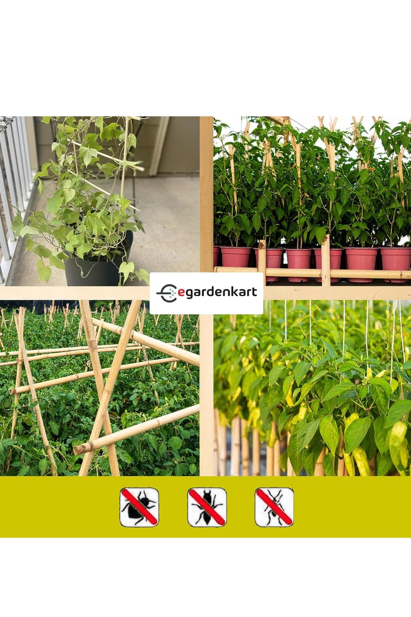 Egardenkart Egardenkart Bamboo sticks for Plants -5 Pcs | Garden Sticks for Strong Support | Long Plant Sticks for Plant Support Stakes - Image 5
