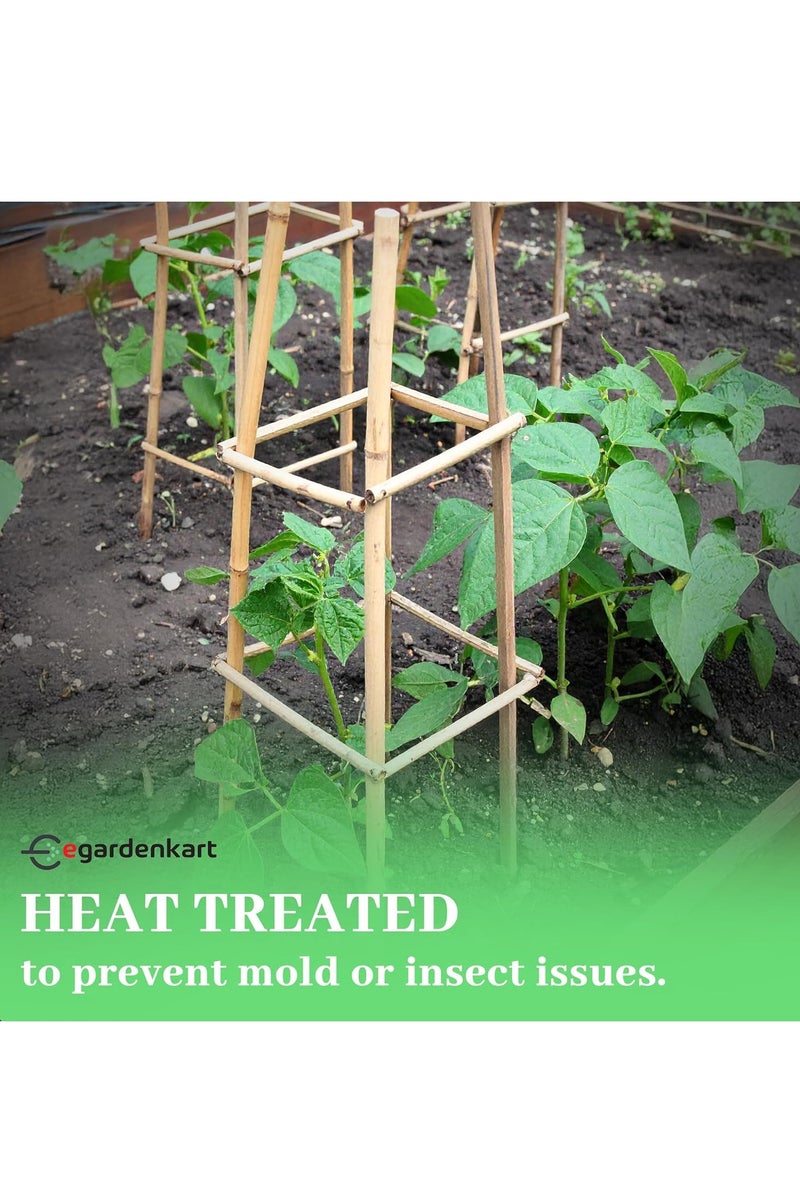 Egardenkart Egardenkart Bamboo sticks for Plants -5 Pcs | Garden Sticks for Strong Support | Long Plant Sticks for Plant Support Stakes - Image 4