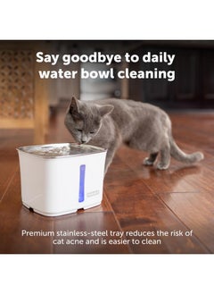 PetSafe PetSafe Viva Cat Water Fountain (64oz/1.8L) - Indoor Water Dispenser for Cats and Small Dogs, Stainless-Steel Bowl with Whisper Quiet Pump, Dishwasher Safe, Easy to Clean, Water Filters Included  - Image 2