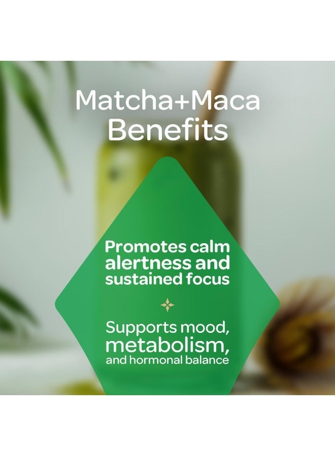 Seeda Matcha - Organic Matcha with Maca Root - Image 4