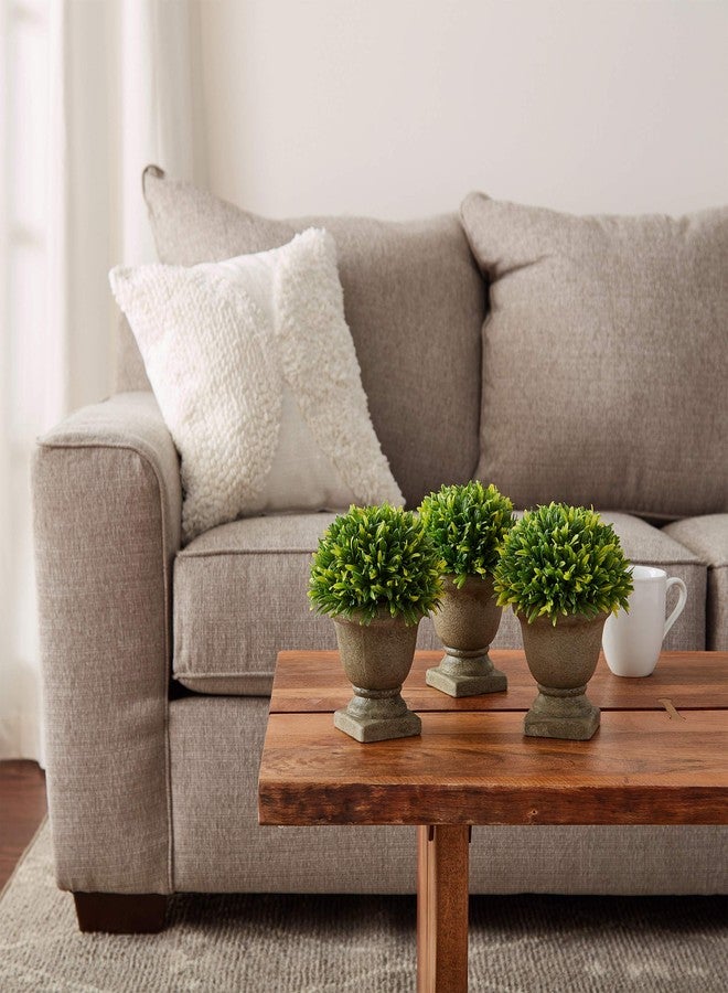 بيور جاردن نبات عشب البودوكاربوس الاصطناعي في أصيص خرساني - مجموعة دائرية من 3 قطع، 7.5 بوصة، نبات زينة داخلي اصطناعي في أصيص من بيور جاردن - Image 1