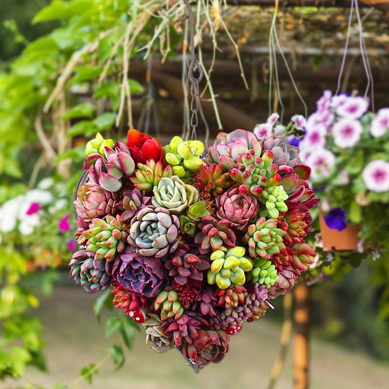 HANABASS 2 Pcs Floral Cage Floral Chicken Wire for Arrangements Wire Wreath Frame Hanger Heart Shape Succulent Planter Hanging Air Plant Holder for Home Garden Decor(No Plants) - Image 5