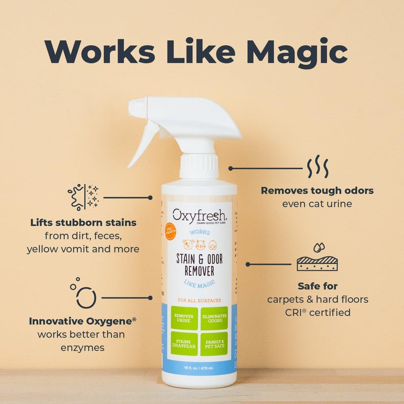 Oxyfresh Strong Carpet Stain Remover & Cleaner Spray - Advanced Pet Urine Odor Eliminator for Entire Home - Fast Acting Dog & Cat Urine Neutralizer - Image 3