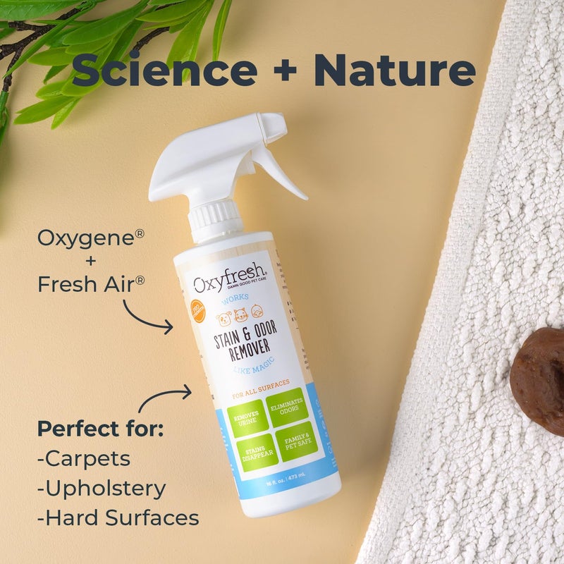 Oxyfresh Strong Carpet Stain Remover & Cleaner Spray - Advanced Pet Urine Odor Eliminator for Entire Home - Fast Acting Dog & Cat Urine Neutralizer - Image 4