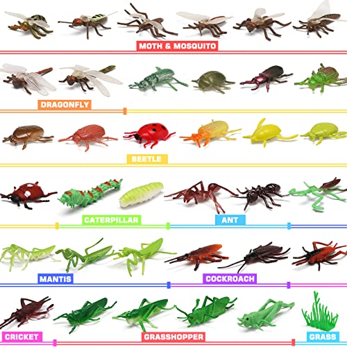 Yeonhatoys 76 Pack Mini Plastic Bug Set, Realistic Insects Toy for Child, Fake Bugs Figure for Kid, Toddler, Insect Themed Party Favors Gift, Cupcake Topper, Education School Classroom reward, Sensory Bin Filler - Image 5