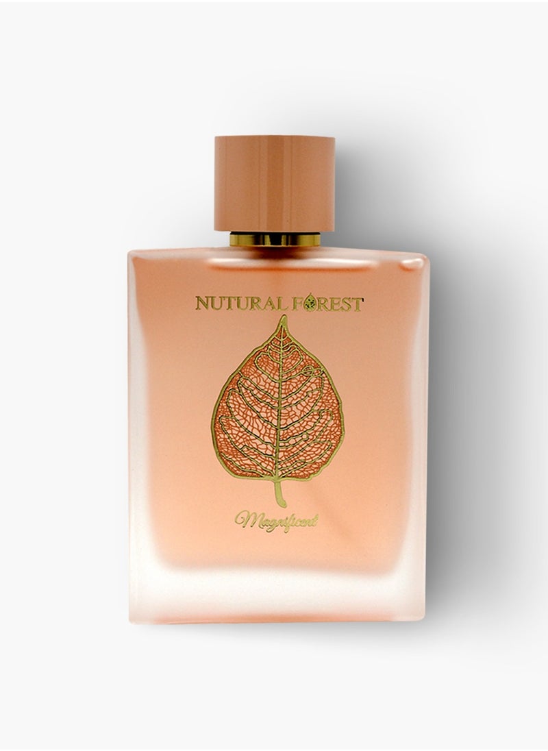 Linea De Bella Nutural Forest Magnificent EDP 100ML  - Image 5