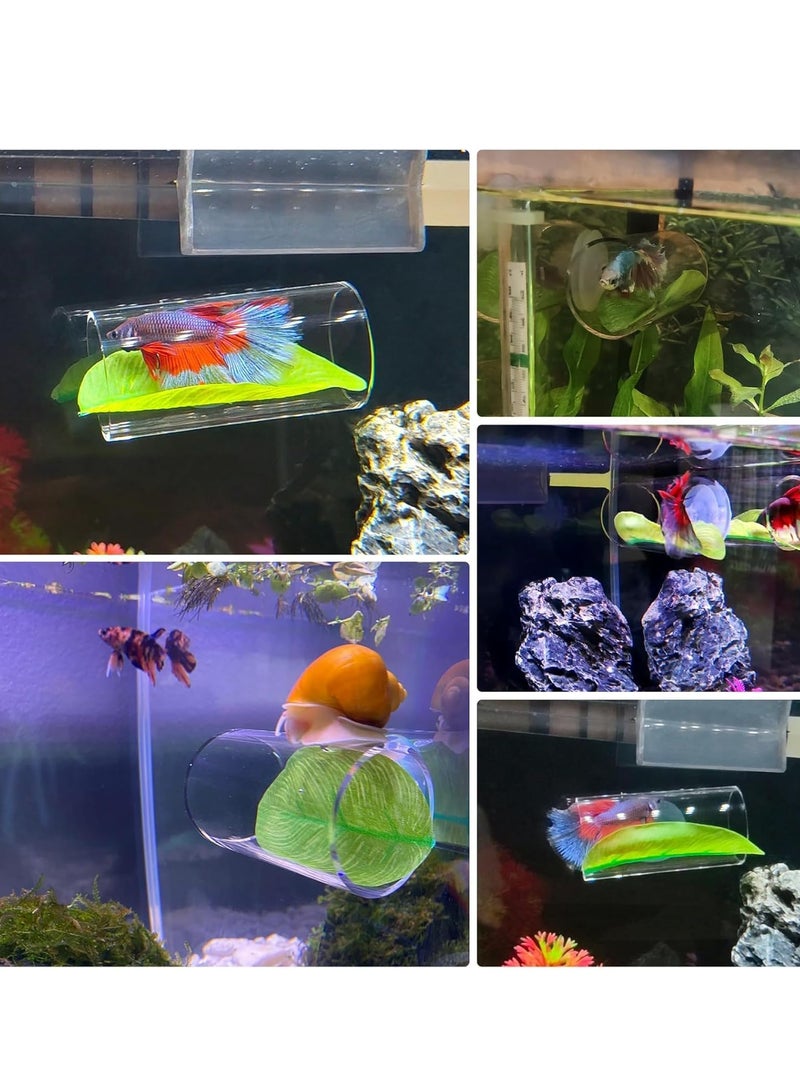 سيلكفكس Betta Fish Acrylic Tube Tunnel, لعب, ورقة حصيرة, الموائل الطبيعية للتربث والتربية, ملاجئ مخبأ مكان, ملحقات ديكور خزان الأسماك - Image 5