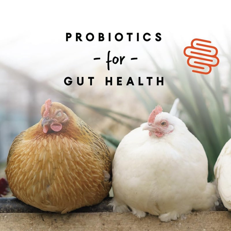 Manna Pro Chicken Feed, 16% Protein Layer Crumbles with Probiotics for Digestive Health, Complete Feed for Laying Hens to Support Egg Production, Nutrient-Rich Chicken Food, Made in USA, 8 lb Bag - Image 3