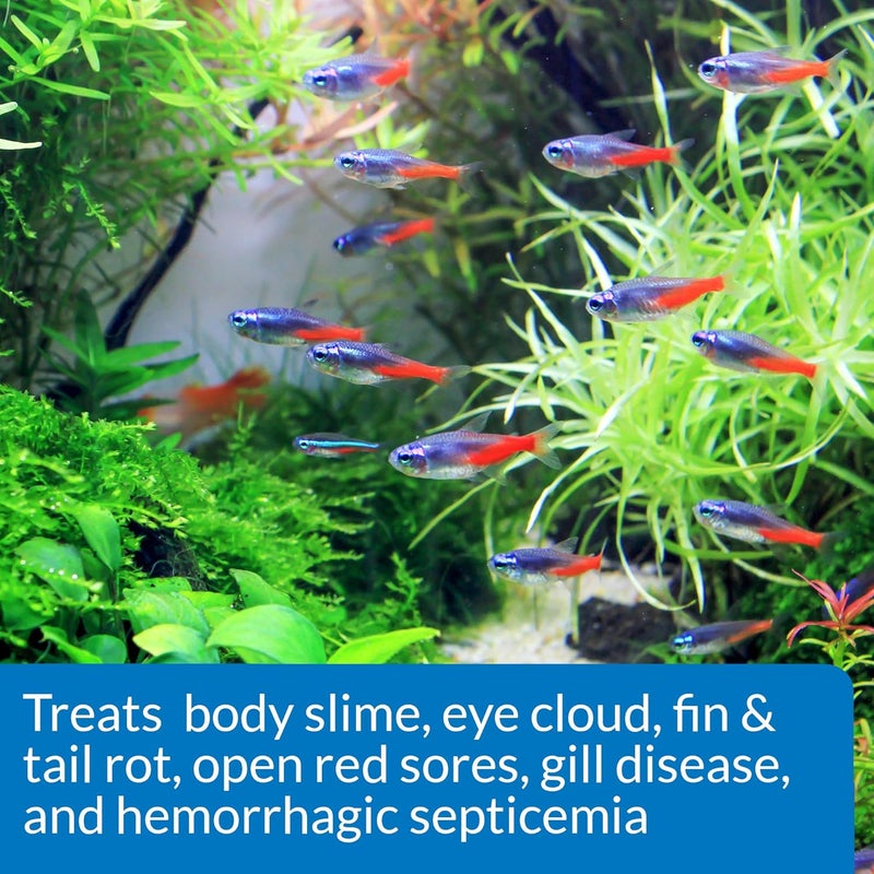 API FIN & BODY CURE Freshwater Fish Powder Medication 10-Count Box - Image 4