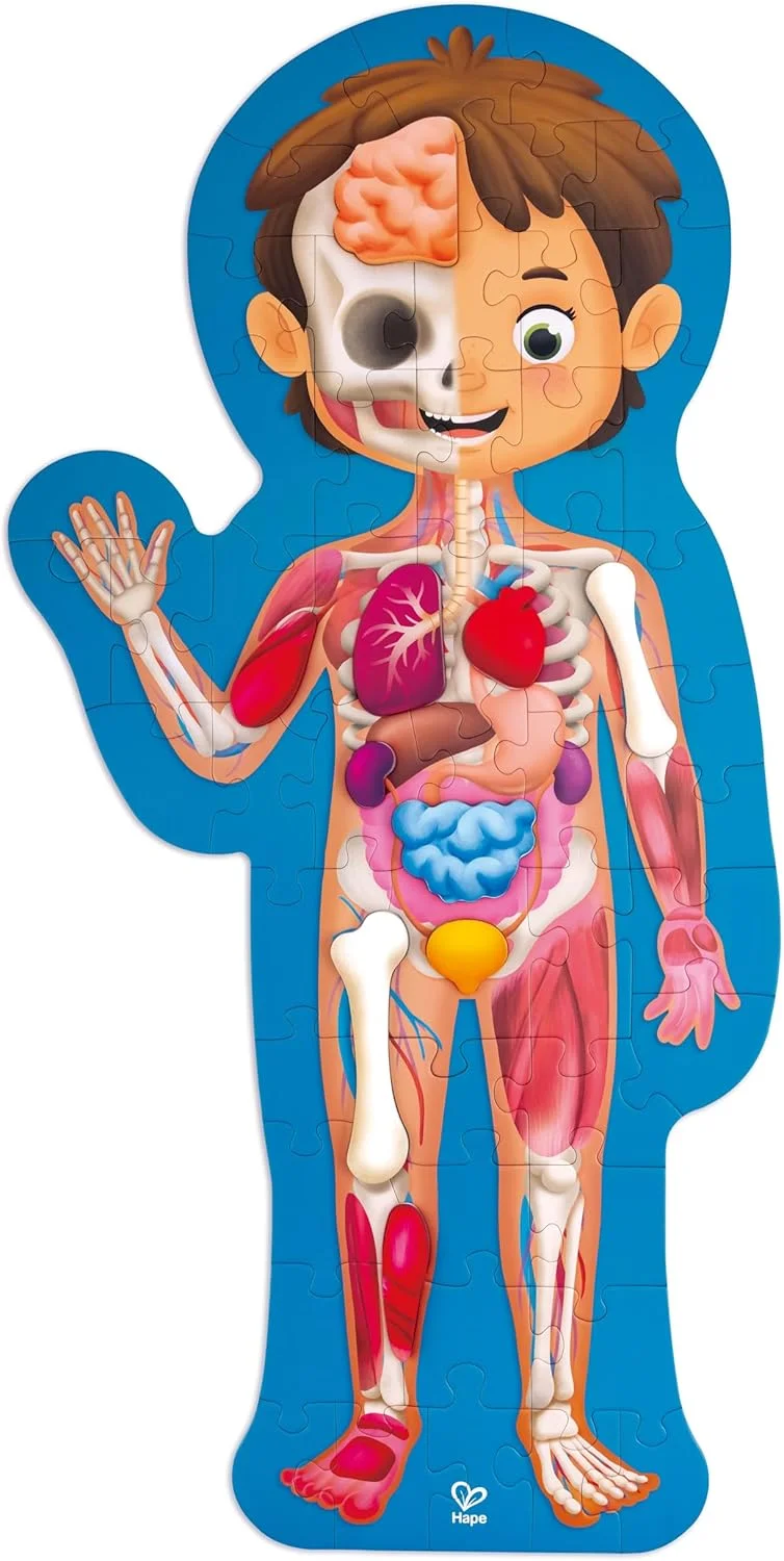 Hape Hape Human Body Puzzle | Anatomy Jigsaw Puzzle with 10 Wooden Parts and Fact-Filled Poster | Educational Puzzle for Kids Aged 4 and Up