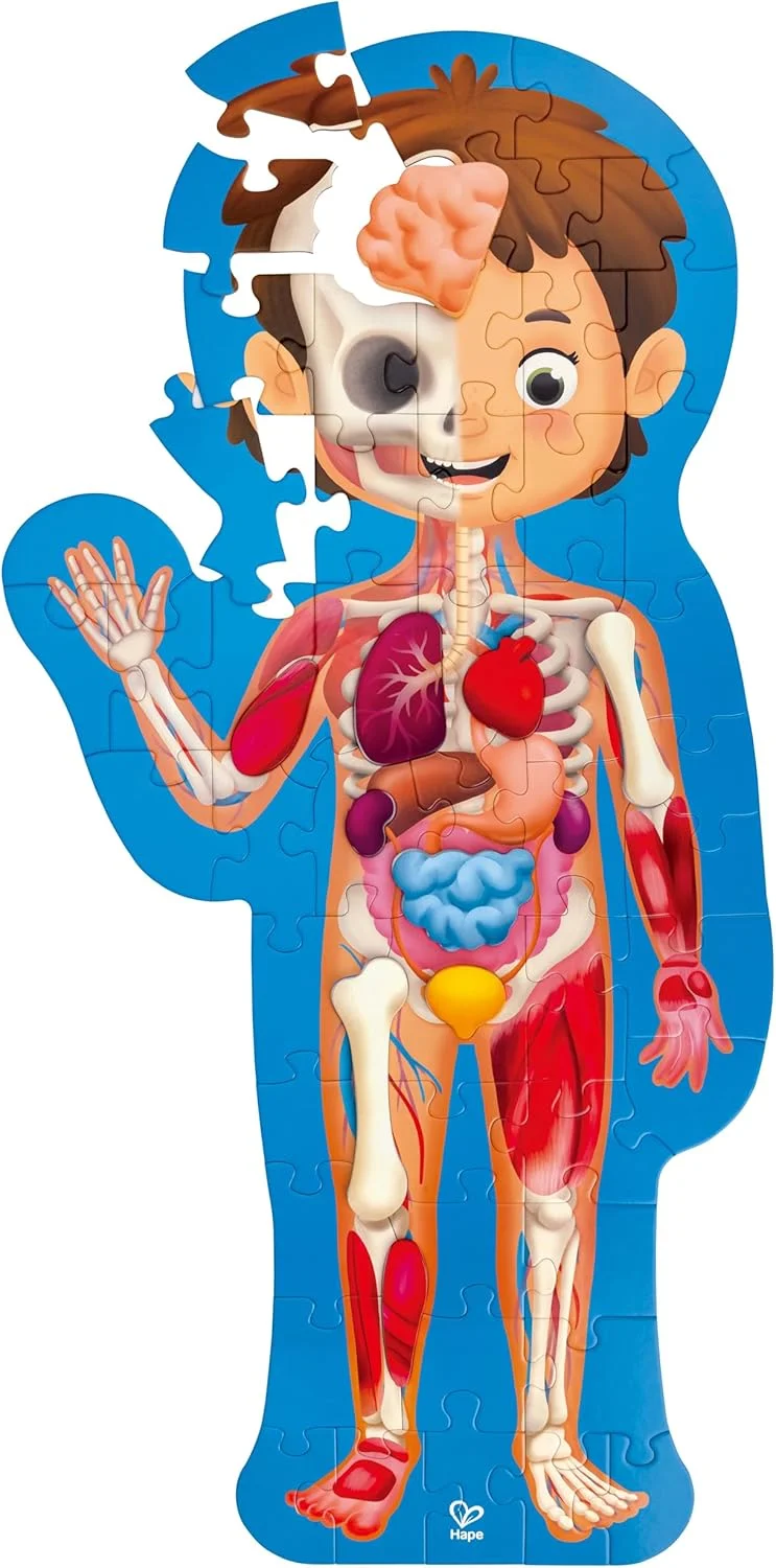 Hape Hape Human Body Puzzle | Anatomy Jigsaw Puzzle with 10 Wooden Parts and Fact-Filled Poster | Educational Puzzle for Kids Aged 4 and Up