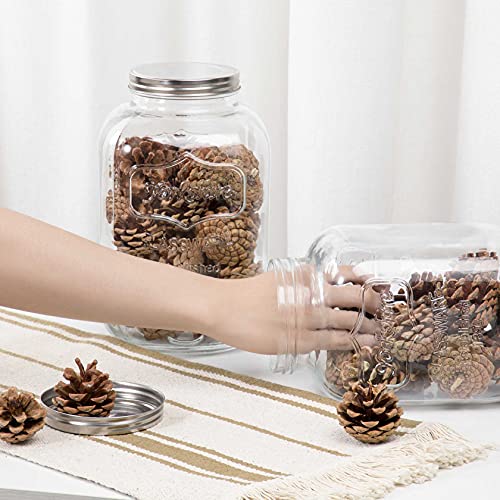 CATPOWER 2 Gallons X-Large Glass Jar With Mouth Canning Jar Kitchen Storage Jar Cookie Candy Penny Jar with Stainless Steel Screw Lid - Image 4