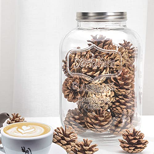 CATPOWER 2 Gallons X-Large Glass Jar With Mouth Canning Jar Kitchen Storage Jar Cookie Candy Penny Jar with Stainless Steel Screw Lid - Image 5