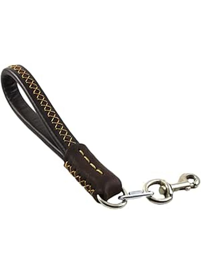 Brown Leather Cowhide Pet Traction Leash For Dogs And Cats Daily Walks - Image 1