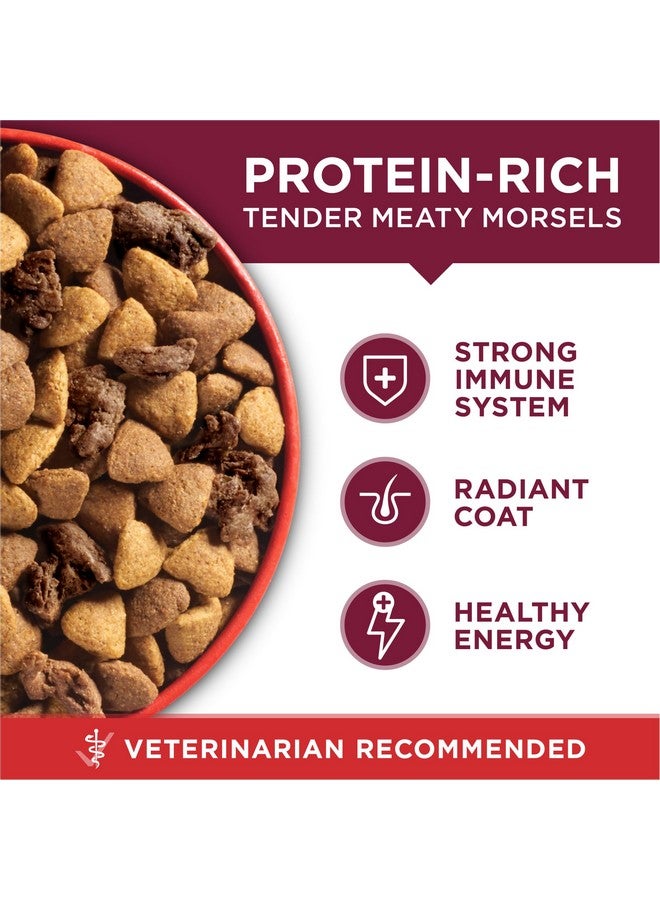 بيورينا ون طعام جاف للكلاب من بورينا وان سمول بايتس بتركيبة لحم البقر والأرز، غني بالبروتين، طبيعي مع إضافة الفيتامينات والمعادن والعناصر الغذائية - كيس 8 أرطال - Image 2