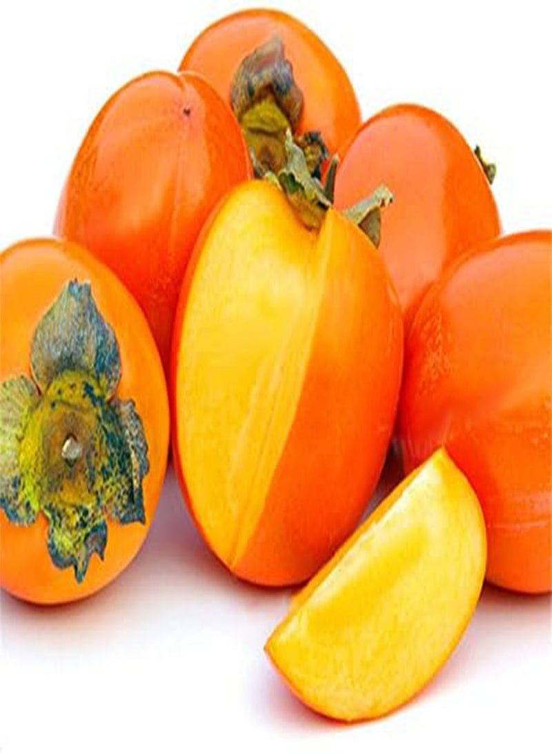 GGOOT Egrow 30 Pcs/Pack Persimmon Tree Seeds Diospyros Kaki Fruit Seed Home Garden Bonsai Plants - Image 5