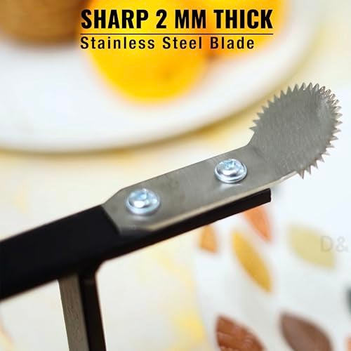 D&V ENGINEERING - Creative in innovation D&V Engineering Heavy-Duty Table-Mount Coconut Scraper & Grater | Sharp 2 mm Stainless Steel Blade, Durable Metal Frame | Easy, Fast Coconut Grating | Fits Up to 3-Inch Slabs, Black Frame - Image 3
